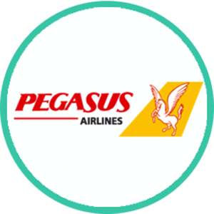 pegasus 1